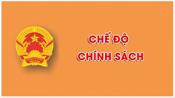 Quy định hợp đồng làm việc đối với viên chức, chấm dứt hợp đồng