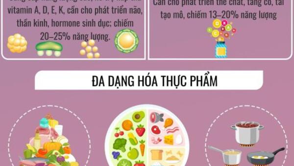 3 nguyên tắc vàng xây dựng bữa ăn học đường