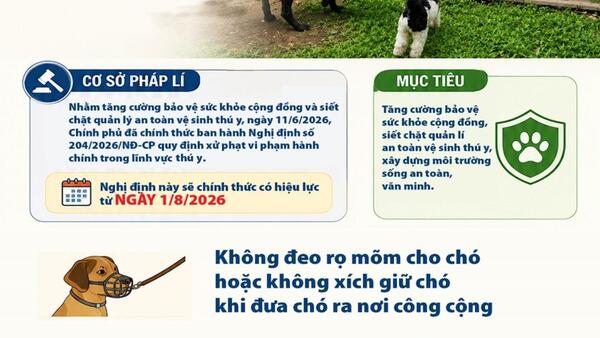 Thả rông chó ở nơi công cộng bị phạt tới 2 triệu đồng