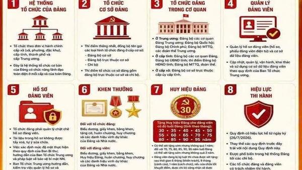 BAN HÀNH QUY ĐỊNH SỐ 208-QĐ/TW VỀ THI HÀNH ĐIỀU LỆ ĐẢNG